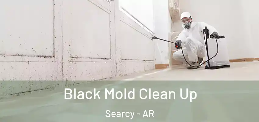  Black Mold Clean Up Searcy - AR
