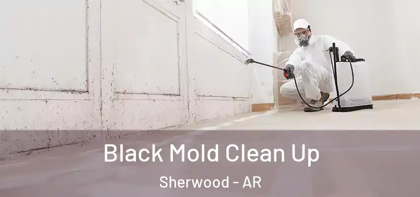  Black Mold Clean Up Sherwood - AR