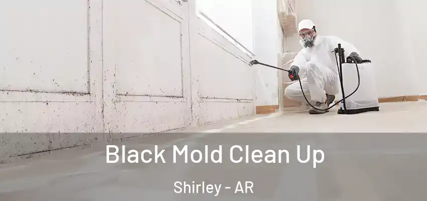  Black Mold Clean Up Shirley - AR