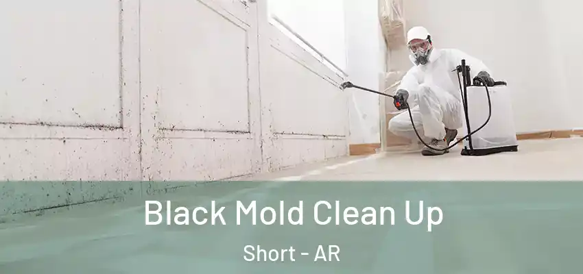  Black Mold Clean Up Short - AR