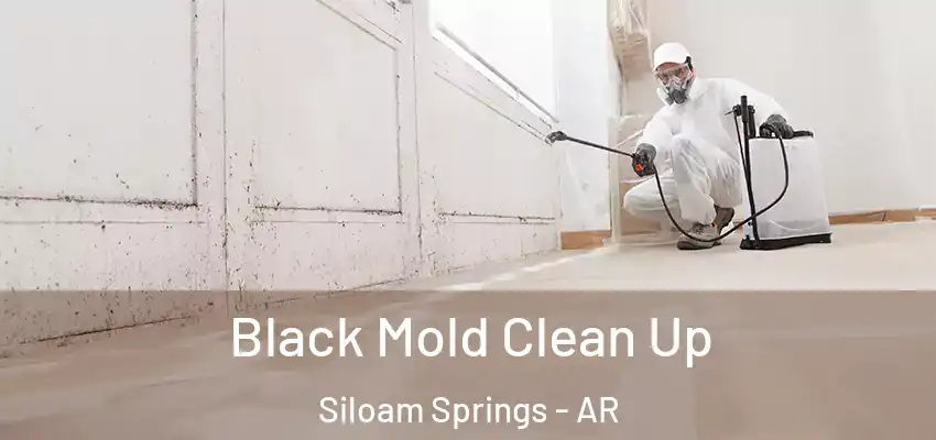  Black Mold Clean Up Siloam Springs - AR