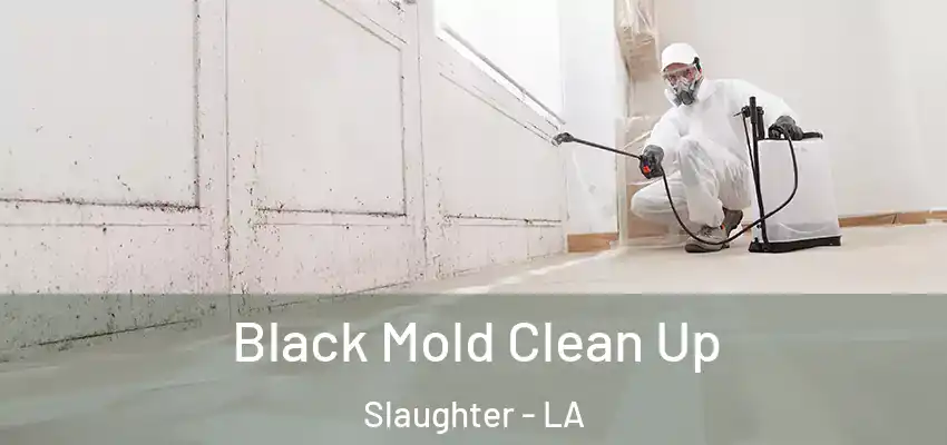  Black Mold Clean Up Slaughter - LA