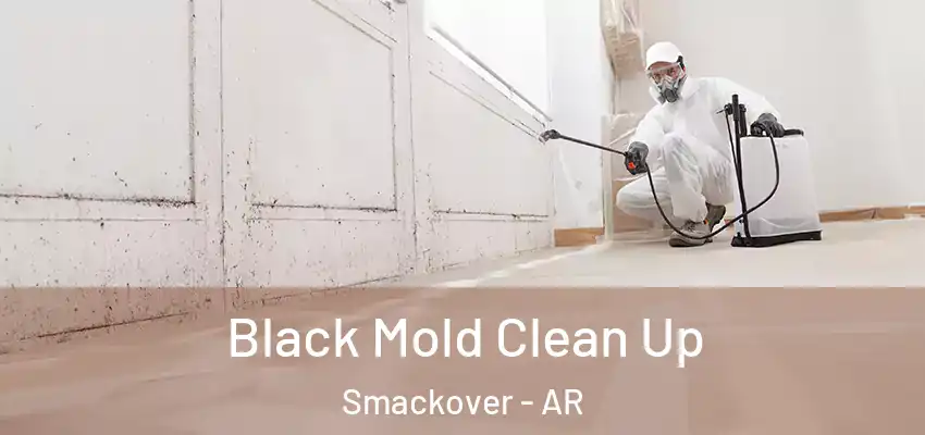 Black Mold Clean Up Smackover - AR