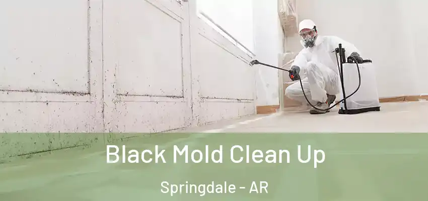  Black Mold Clean Up Springdale - AR