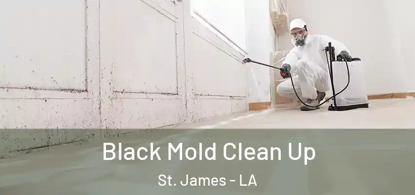 Black Mold Clean Up St. James - LA