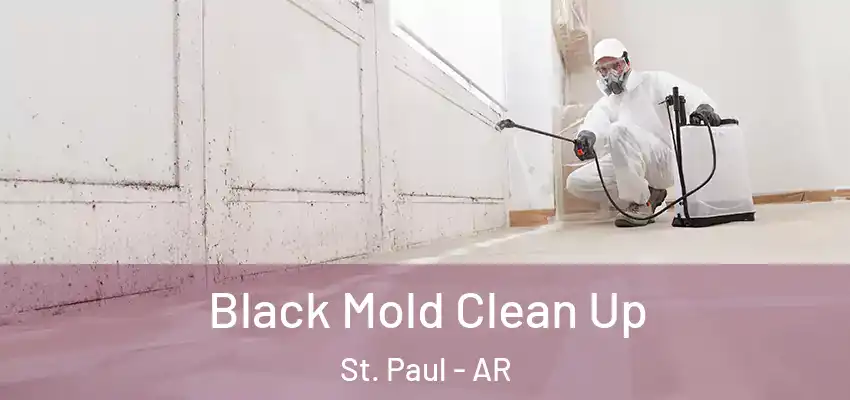 Black Mold Clean Up St. Paul - AR
