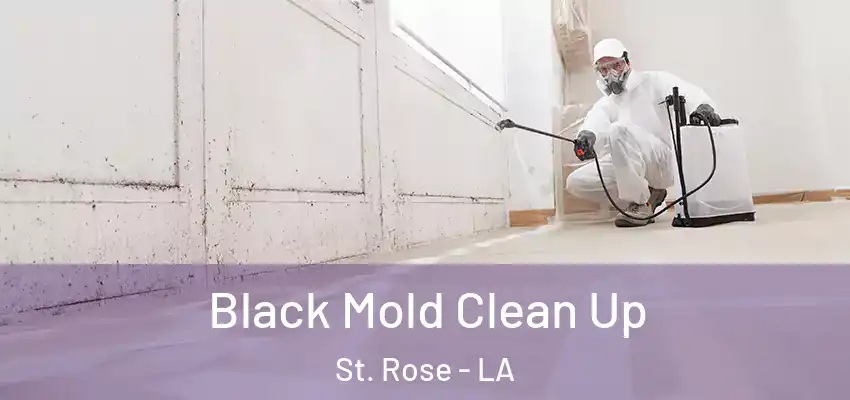  Black Mold Clean Up St. Rose - LA