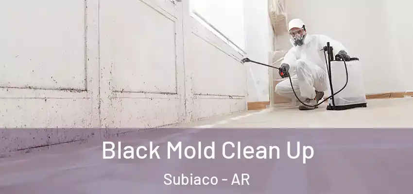  Black Mold Clean Up Subiaco - AR