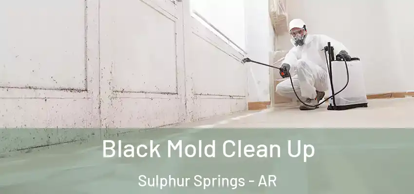  Black Mold Clean Up Sulphur Springs - AR