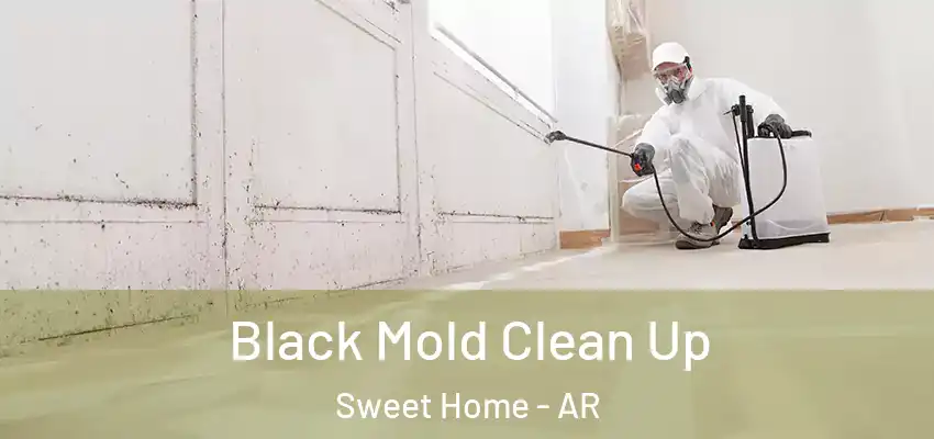  Black Mold Clean Up Sweet Home - AR