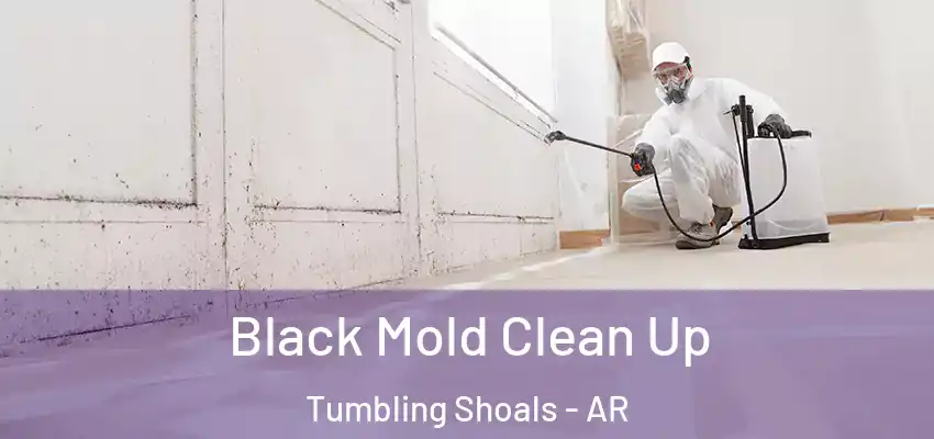  Black Mold Clean Up Tumbling Shoals - AR
