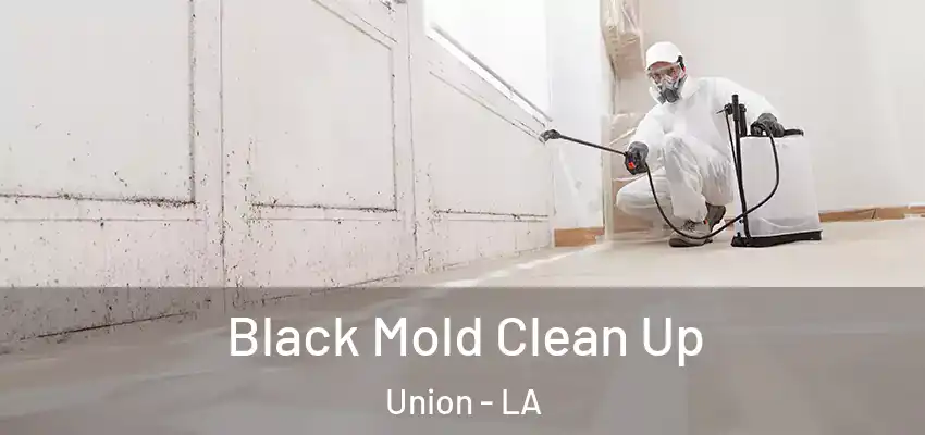  Black Mold Clean Up Union - LA