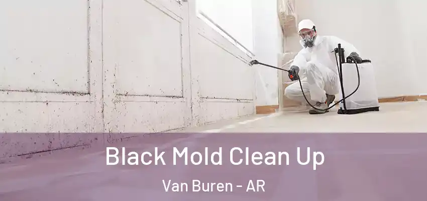  Black Mold Clean Up Van Buren - AR