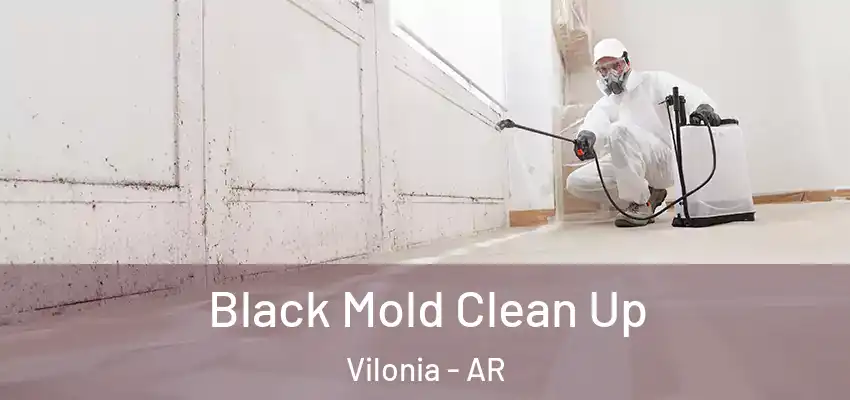 Black Mold Clean Up Vilonia - AR