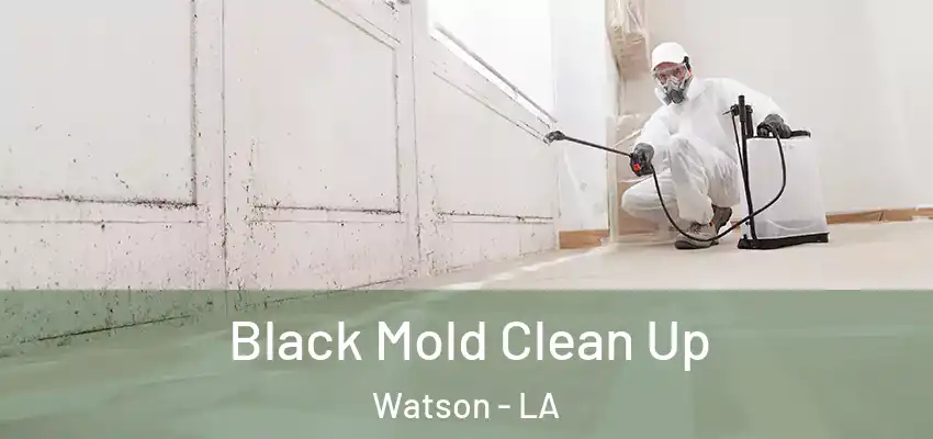  Black Mold Clean Up Watson - LA