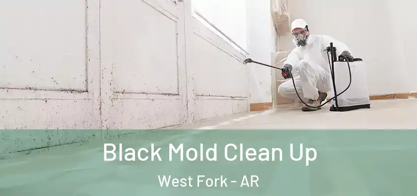  Black Mold Clean Up West Fork - AR