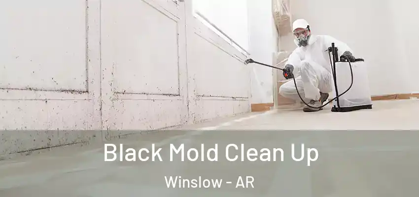  Black Mold Clean Up Winslow - AR