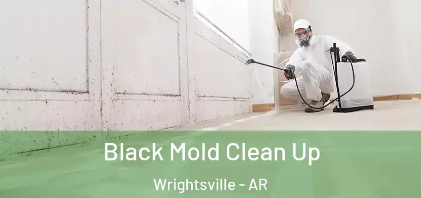  Black Mold Clean Up Wrightsville - AR