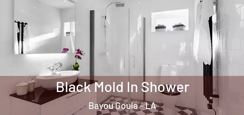  Black Mold In Shower Bayou Goula - LA