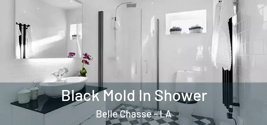  Black Mold In Shower Belle Chasse - LA
