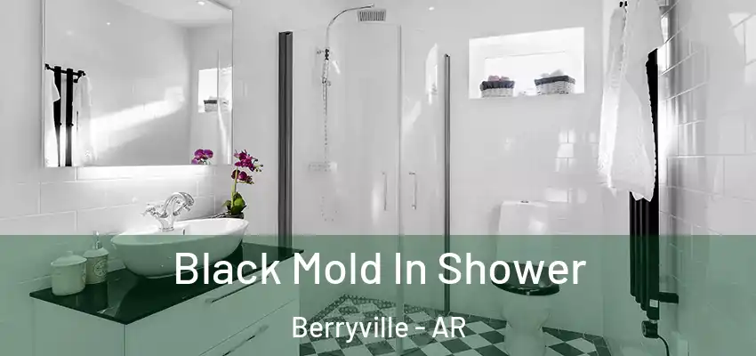  Black Mold In Shower Berryville - AR