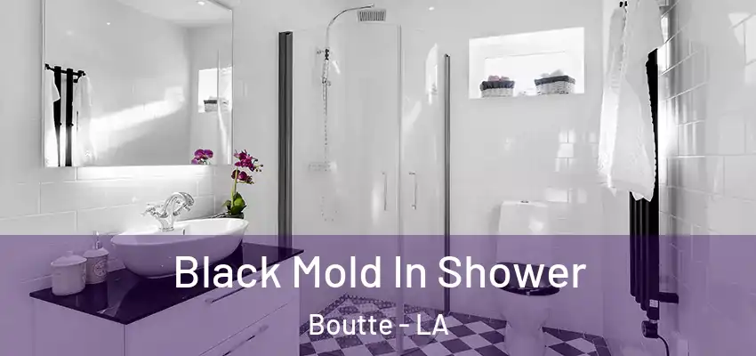  Black Mold In Shower Boutte - LA