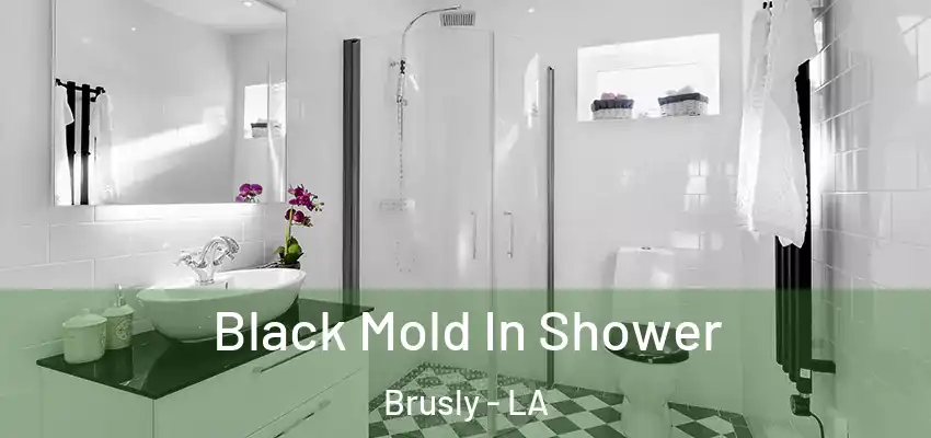 Black Mold In Shower Brusly - LA