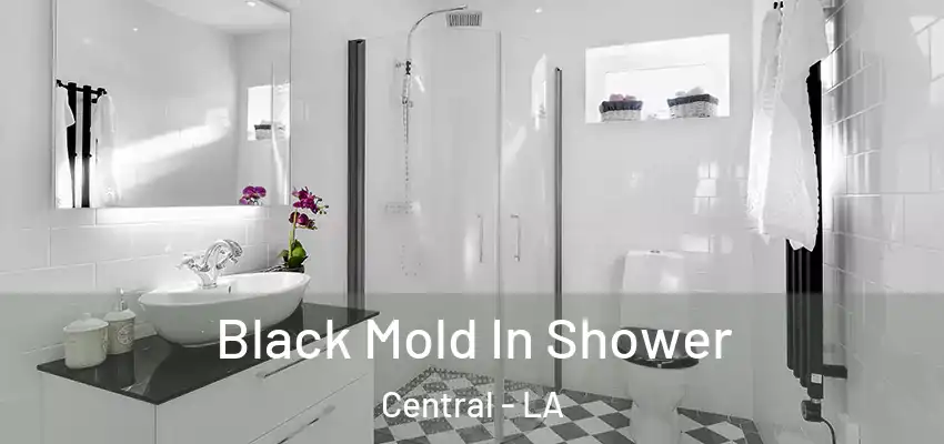  Black Mold In Shower Central - LA