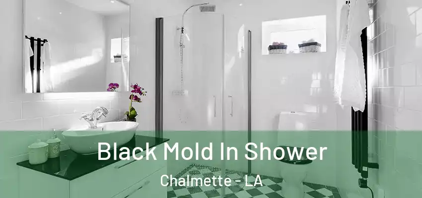  Black Mold In Shower Chalmette - LA