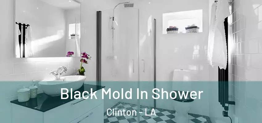  Black Mold In Shower Clinton - LA