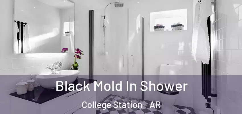  Black Mold In Shower College Station - AR