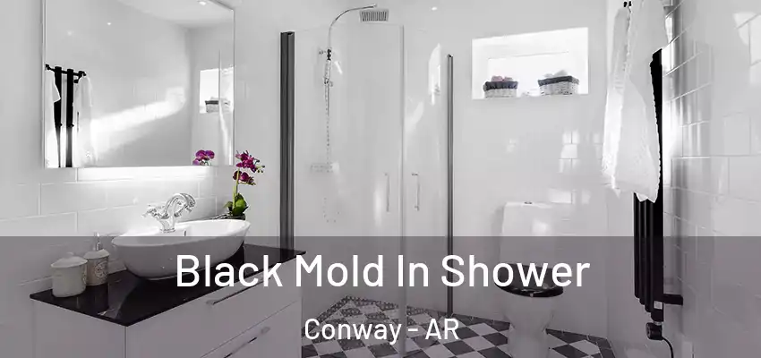  Black Mold In Shower Conway - AR