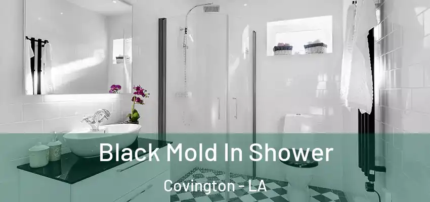  Black Mold In Shower Covington - LA