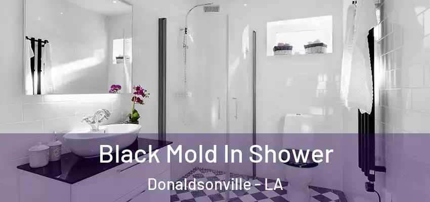  Black Mold In Shower Donaldsonville - LA