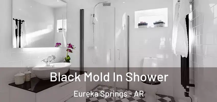  Black Mold In Shower Eureka Springs - AR