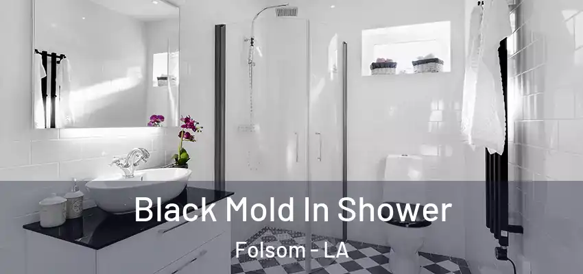  Black Mold In Shower Folsom - LA