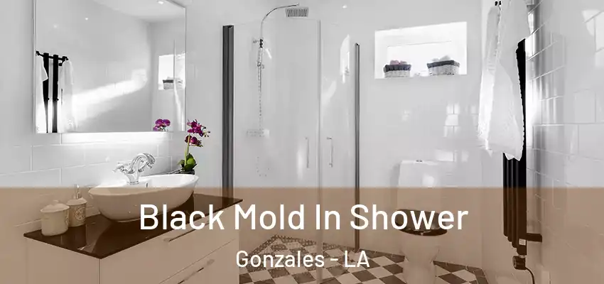  Black Mold In Shower Gonzales - LA