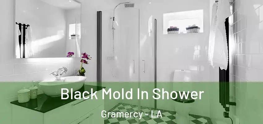  Black Mold In Shower Gramercy - LA