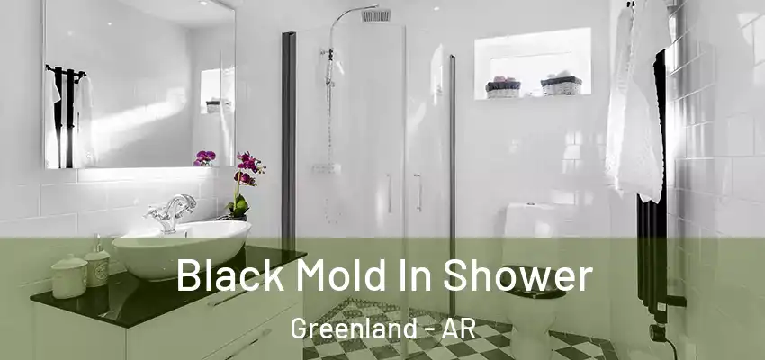 Black Mold In Shower Greenland - AR