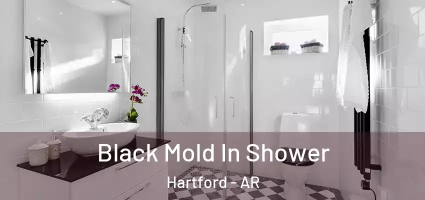  Black Mold In Shower Hartford - AR