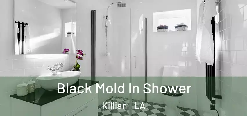  Black Mold In Shower Killian - LA