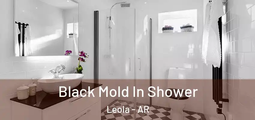  Black Mold In Shower Leola - AR