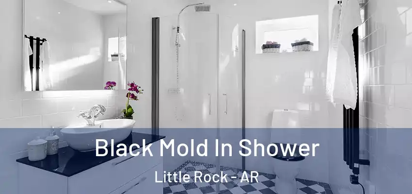  Black Mold In Shower Little Rock - AR