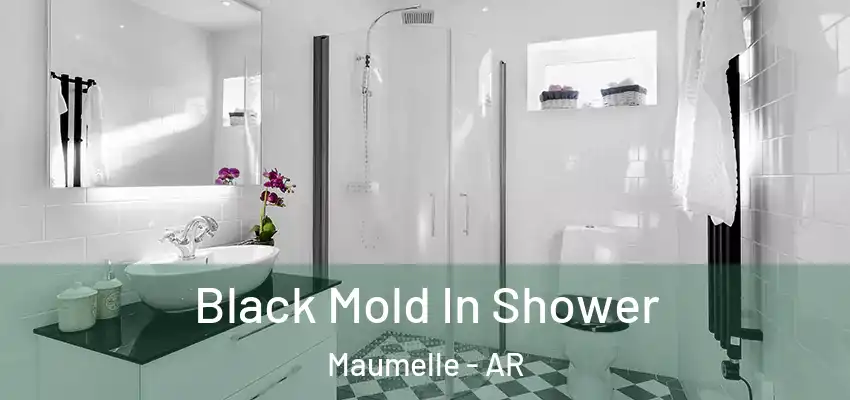  Black Mold In Shower Maumelle - AR