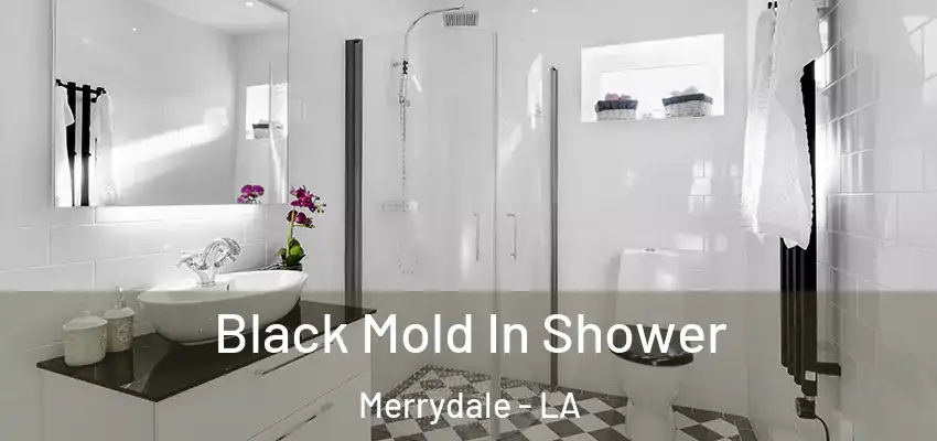  Black Mold In Shower Merrydale - LA