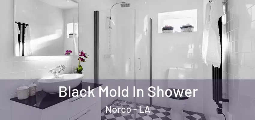  Black Mold In Shower Norco - LA