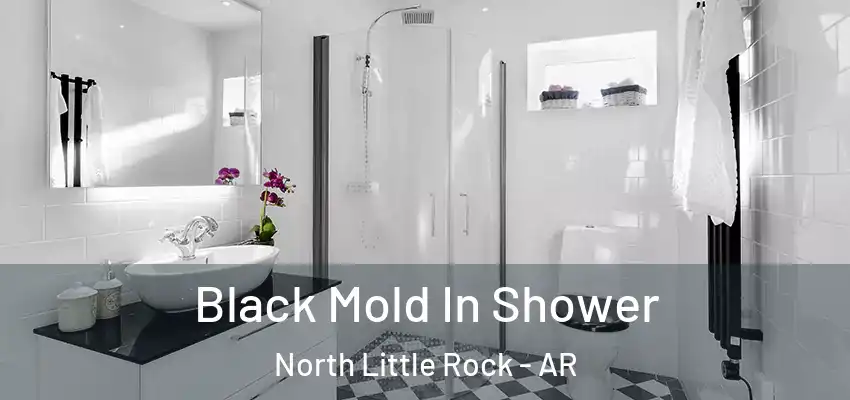  Black Mold In Shower North Little Rock - AR
