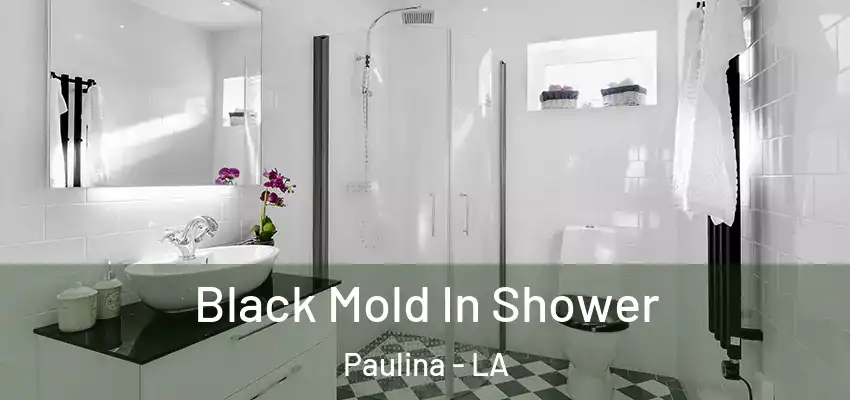 Black Mold In Shower Paulina - LA