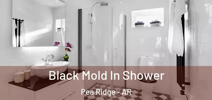Black Mold In Shower Pea Ridge - AR