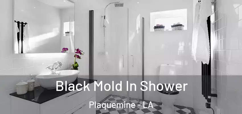  Black Mold In Shower Plaquemine - LA